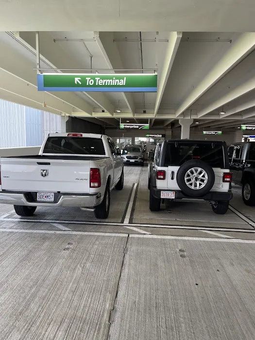 Alamo Rent A Car Picture 6