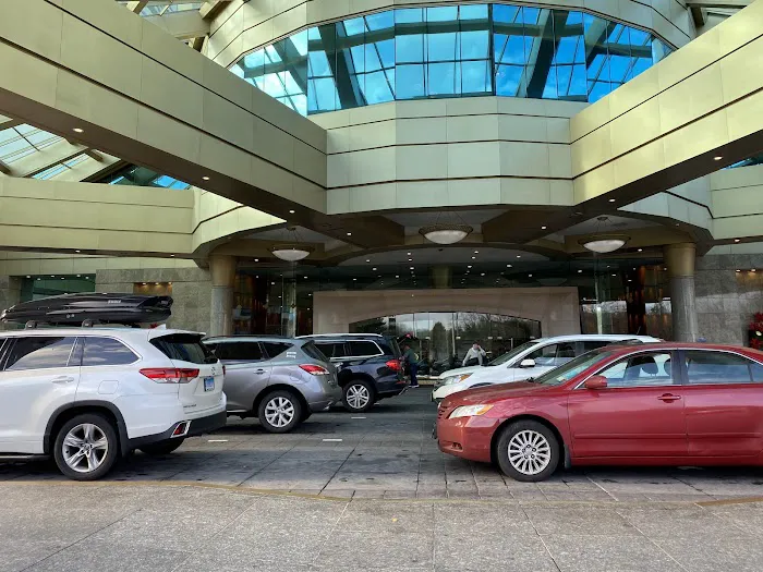 Alamo Rent A Car Picture 9