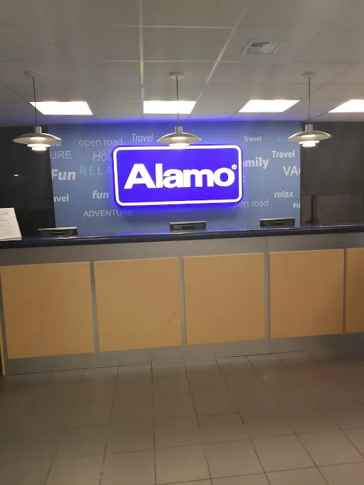 Alamo Rent A Car Picture 10