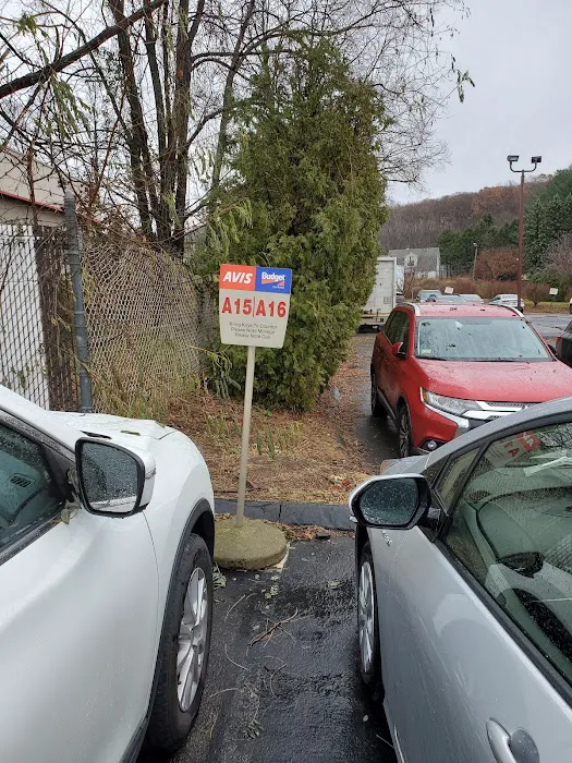 Avis Car Rental Picture 4