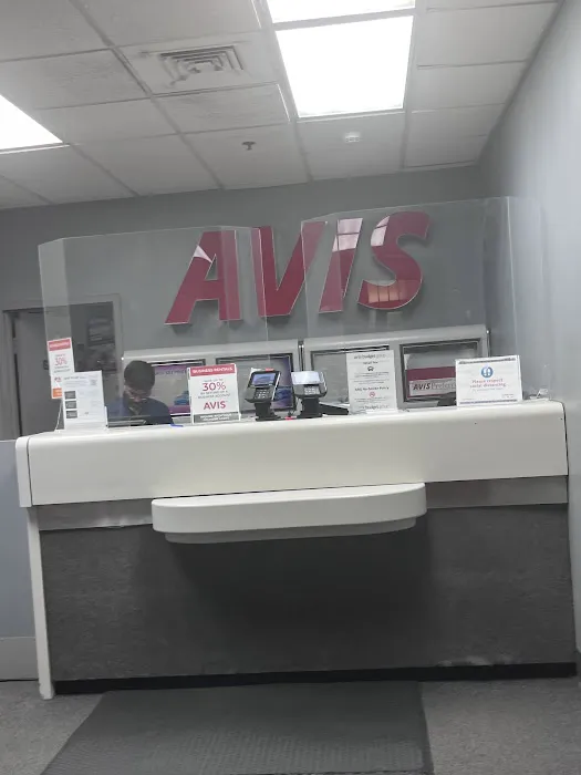 Avis Car Rental Picture 5