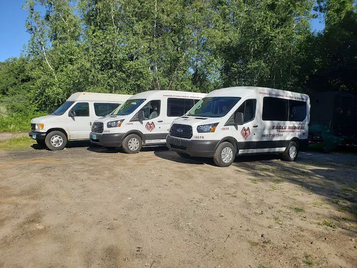 Eagle Medical Transport LLC Picture 5