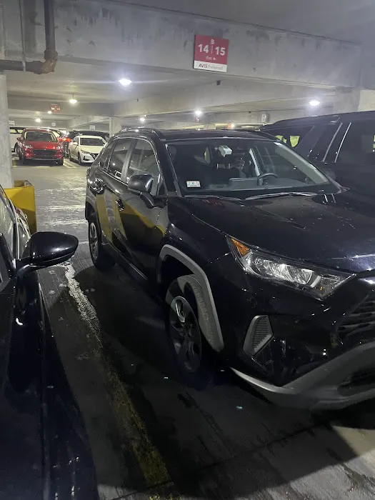 Avis Car Rental Picture 3