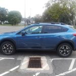 Avis Car Rental
