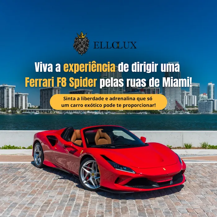 ElloLux - Miami Picture 3