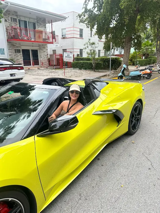 ElloLux - Miami Picture 2
