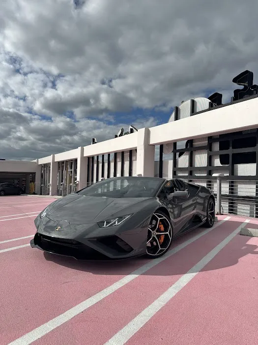 Preferred Exotics Picture 7