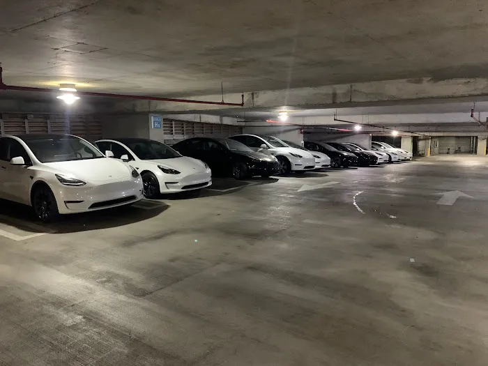 UFODRIVE: 24/7 Car Rental - Miami Brickell Picture 3