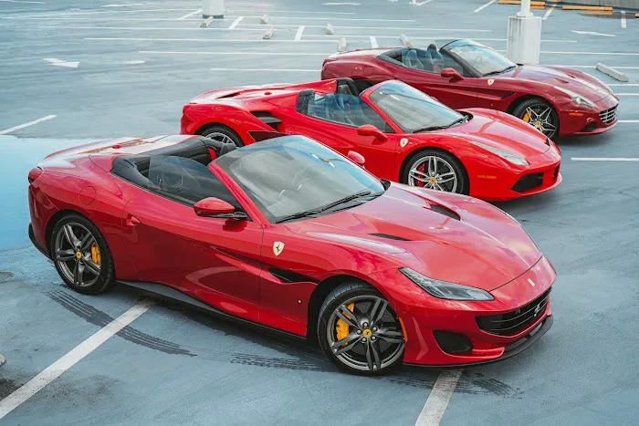 Unique Exotics Miami Picture 1