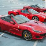 Unique Exotics Miami