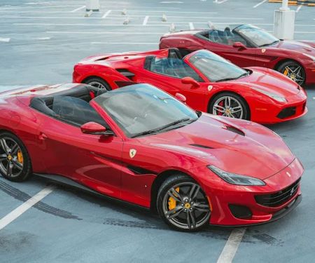 Unique Exotics Miami