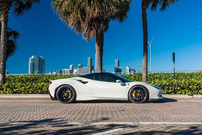 Unique Exotics Miami Picture 4