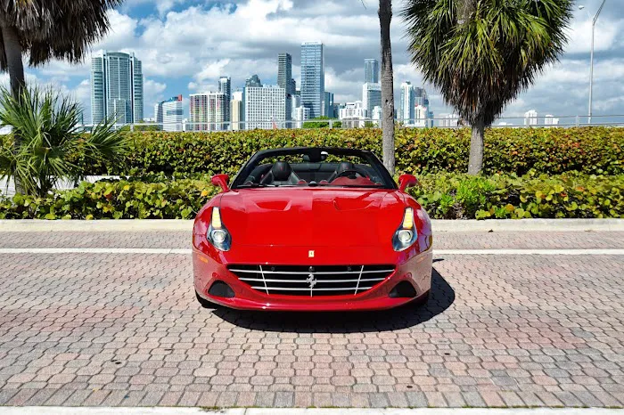 Unique Exotics Miami Picture 7
