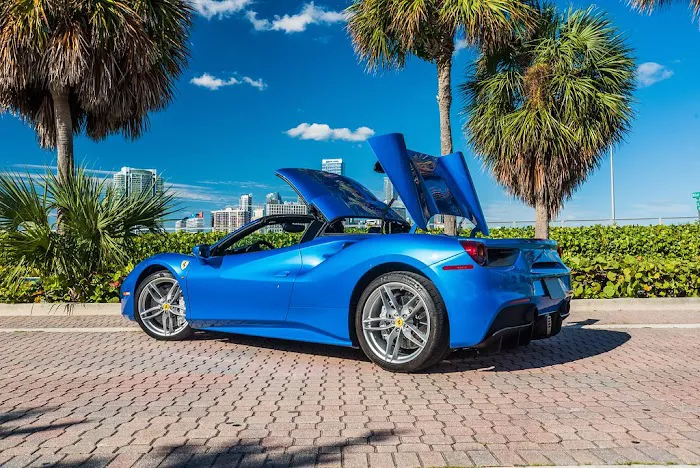 Unique Exotics Miami Picture 9