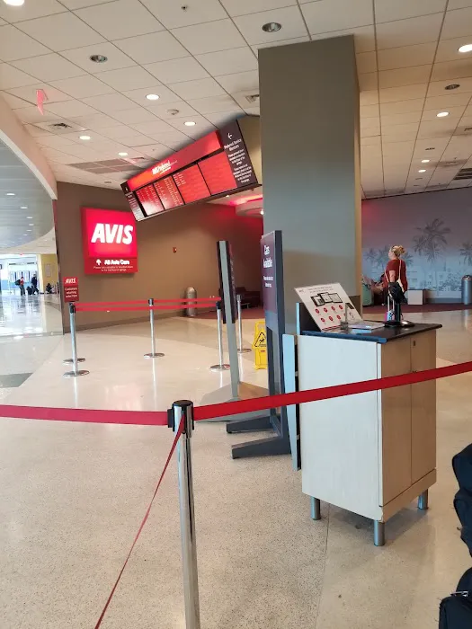 Avis Car Rental Picture 10