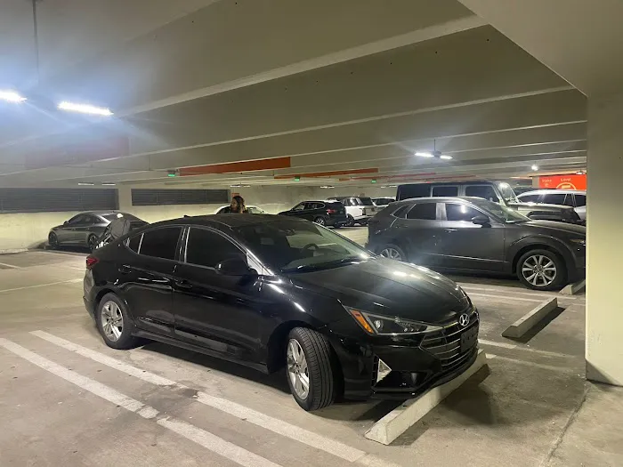 SD Madison Rent a Car Miami Picture 2