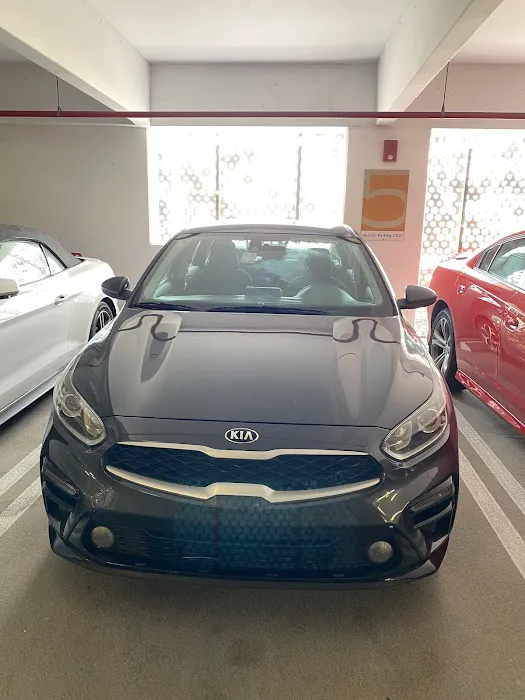 Avis Car Rental Picture 3