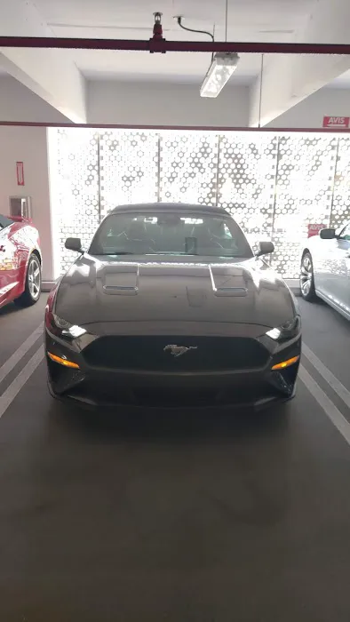 Avis Car Rental Picture 10