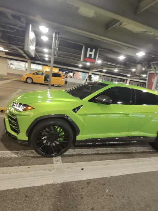 Alpha Exotics Rental Picture 1