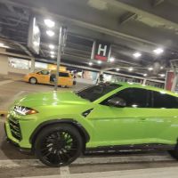 Alpha Exotics Rental ico