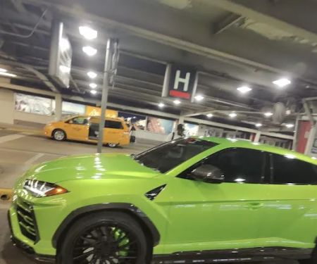 Alpha Exotics Rental