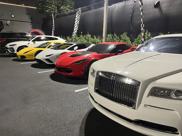 Alpha Exotics Rental Picture 5