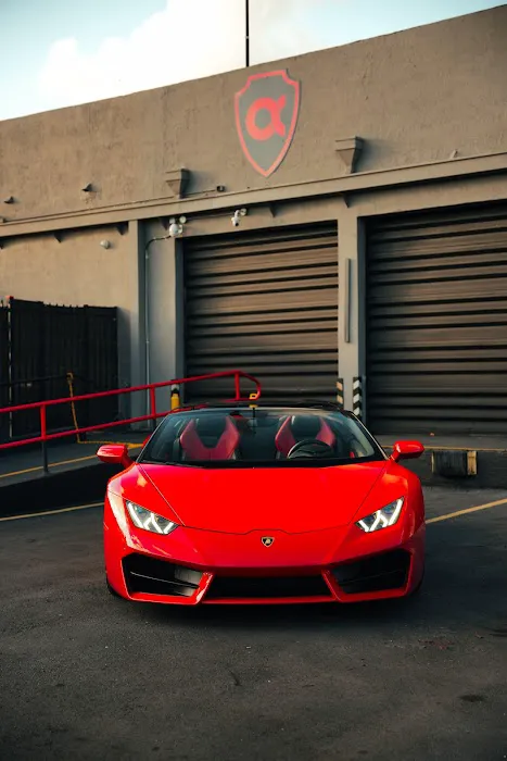 Alpha Exotics Rental Picture 10