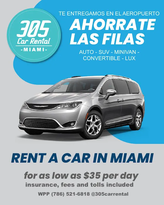 305 Car Rental Picture 2