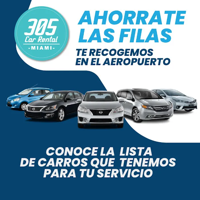 305 Car Rental Picture 7