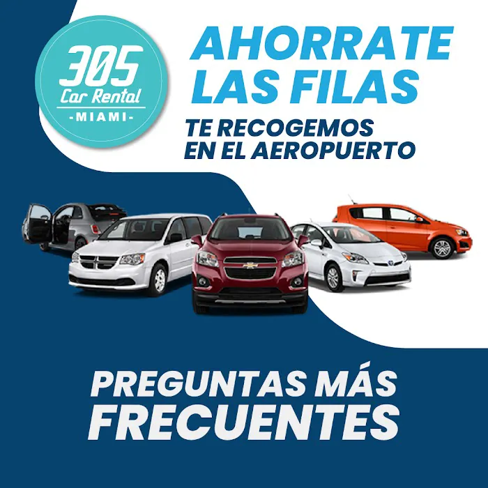 305 Car Rental Picture 10