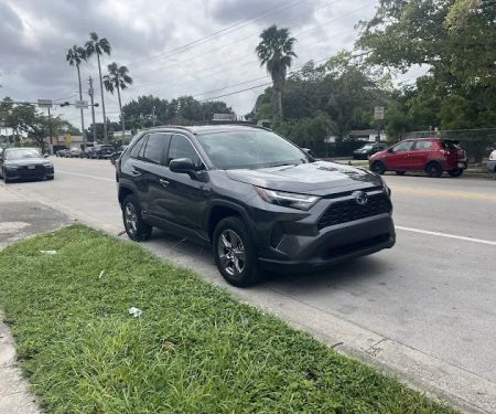 Phia Rental