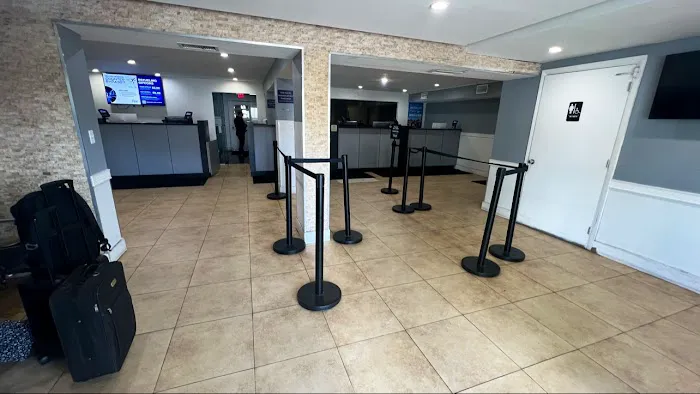 Fox Rent A Car Miami Picture 2