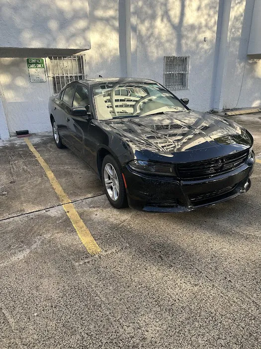 Fox Rent A Car Miami Picture 4