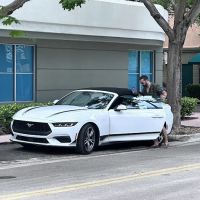 Royal Rent-a-car ico