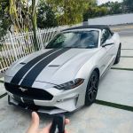 Marin Car Rental