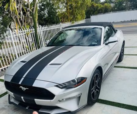 Marin Car Rental