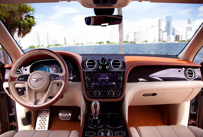 Onyx Exotix Picture 8
