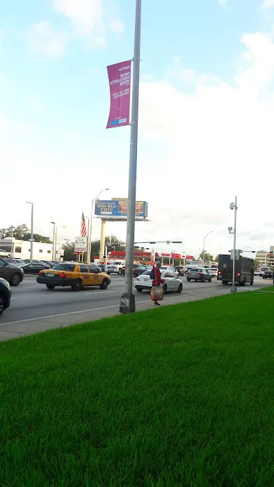 Tyrex Rent A Car Miami Picture 8