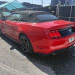 Todo Auto Rental