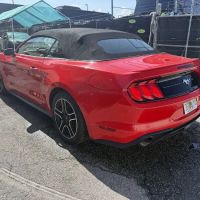 Todo Auto Rental ico