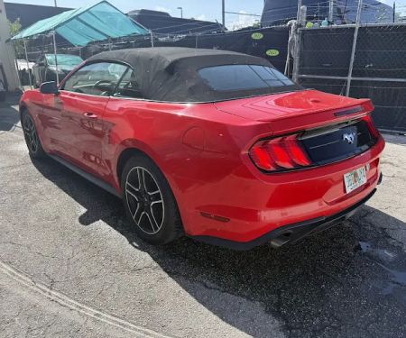 Todo Auto Rental