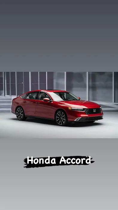 Sonic Car Rental Picture 8