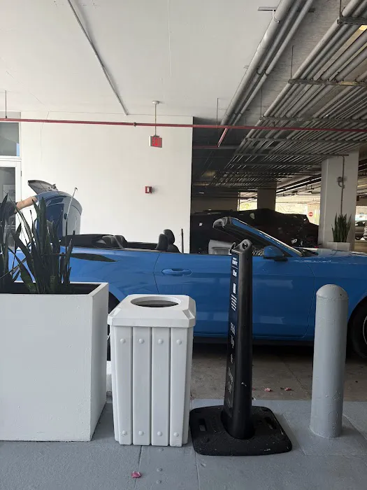 Stride Rent A Car Picture 8
