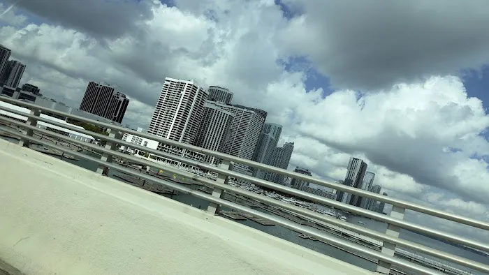 puerto de cruceros miami Picture 4