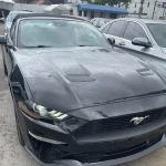 Car Rental - Turo Host