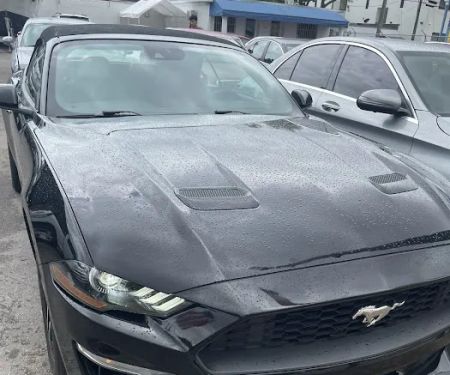 Car Rental - Turo Host