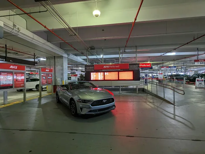 Budget Car Rental Picture 6