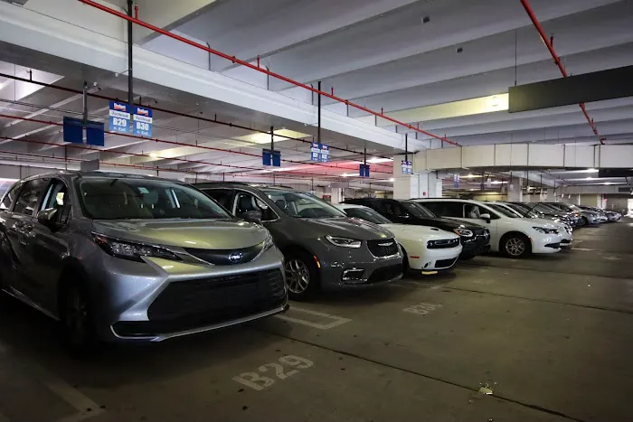 Budget Car Rental Picture 4