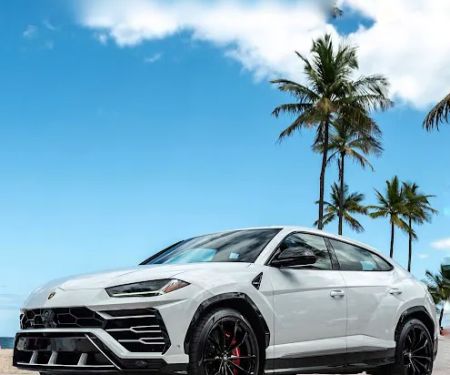 BILLIONAIRES MIAMI INC
