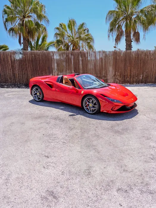 BILLIONAIRES MIAMI INC Picture 3